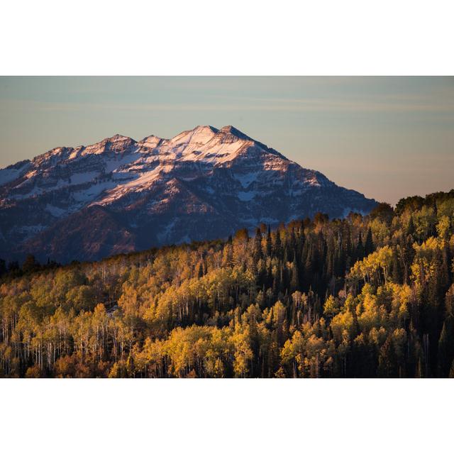 Wasatch Mountains by Rhyman007 - Print Alpen Home Size: 51cm H x 76cm W x 3.8cm D on Productcaster.