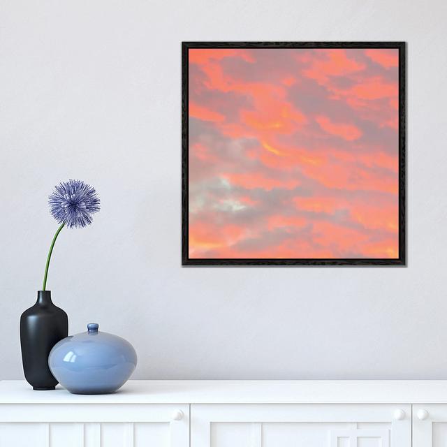 Pink Fluff by Charlotte Curd - Print on Canvas Ebern Designs Size: 45.72cm H x 45.72cm W x 3.81cm D, Format: Black Floater Frame on Productcaster.