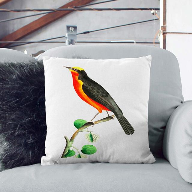 Barbary Shrike Bird by George Shaw Cushion with Filling East Urban Home Size: 55 x 55 cm on Productcaster.