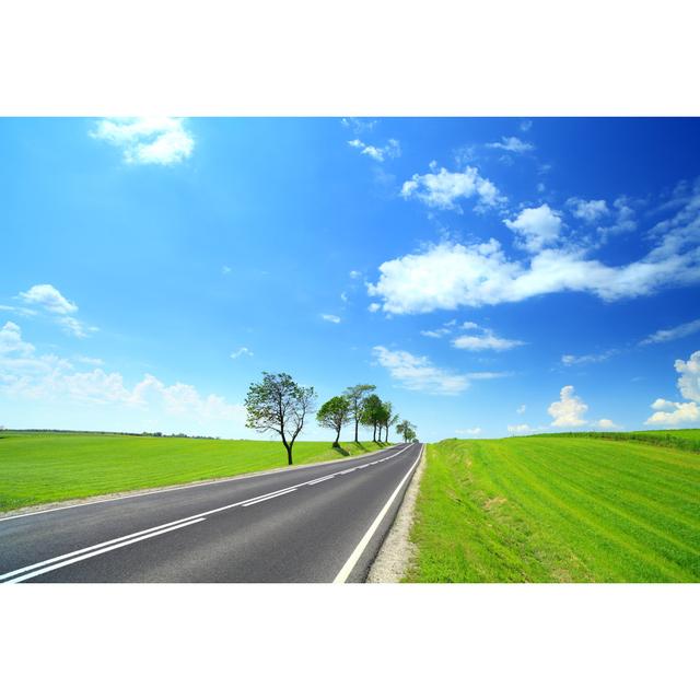 Straight Road And Green Fields by Konradlew - Print 17 Stories Size: 20cm H x 30cm W on Productcaster.