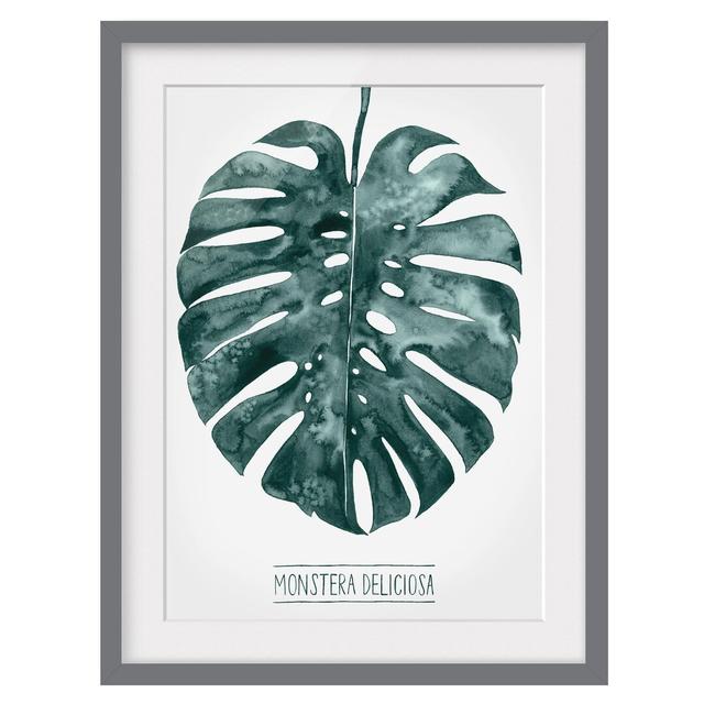 Emerald Green Monstera Deliciosa - Picture Frame Painting Bay Isle Home Size: 70cm H x 50cm W x 2cm D, Frame Option: Grey on Productcaster.