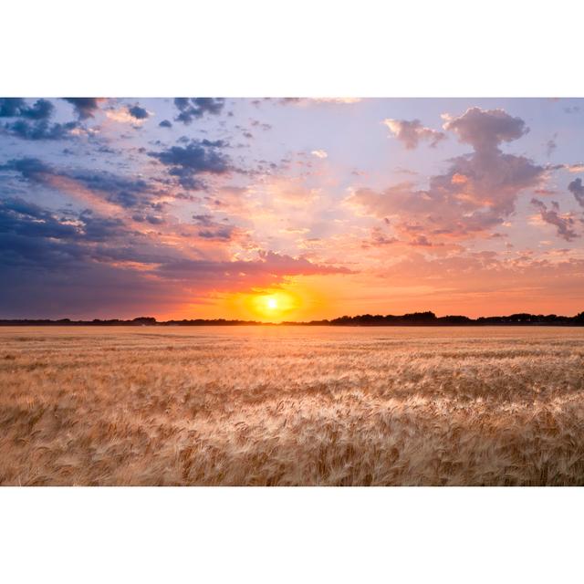 Sun Setting Over Wheat Field With Colorful Sky Ebern Designs Size: 61cm H x 91cm W x 3.8cm D on Productcaster.