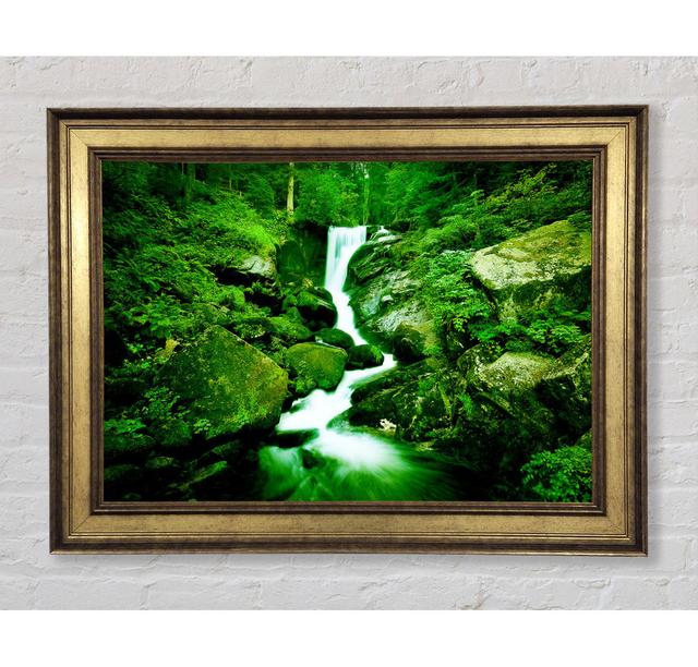 Single Picture Frame Art Prints Bright Star Size: 29.7cm H x 42cm W on Productcaster.