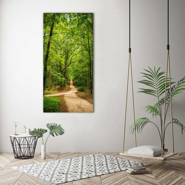 Pfad im Wald - Kunstdrucke auf Leinwand Union Rustic on Productcaster.