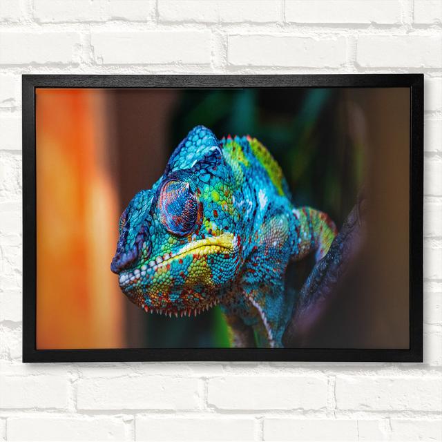 Chameleon Up Close - Closed Corner Frame Art Prints on Wood Latitude Run Size: 29.7cm H x 42cm W on Productcaster.