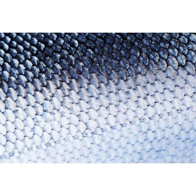 Fish Scale by Temmuzcan - No Frame Art Prints on Canvas 17 Stories Size: 20cm H x 30cm W on Productcaster.