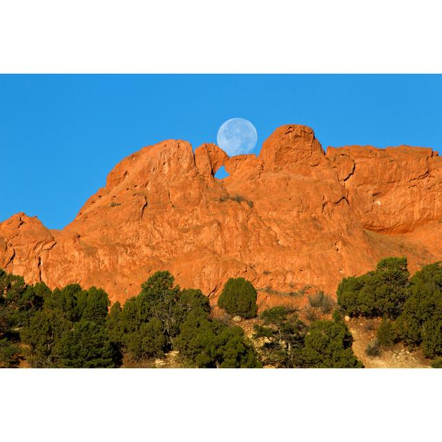 The Kissing Camels by RondaKimbrow - Wrapped Canvas Photograph Natur Pur Size: 61cm H x 91cm W x 3.8cm D on Productcaster.