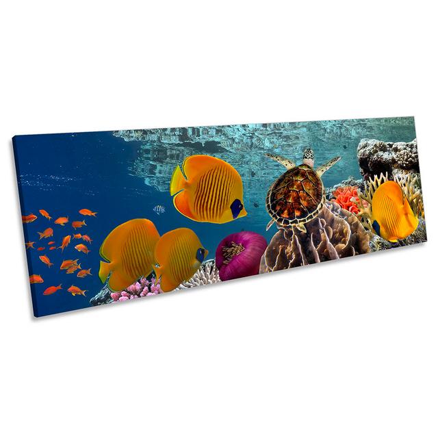 Tropical Fish Coral Marine Framed PANORAMA CANVAS PRINT Wall Art House of Hampton Size: 30.48cm H x 91.44cm W on Productcaster.