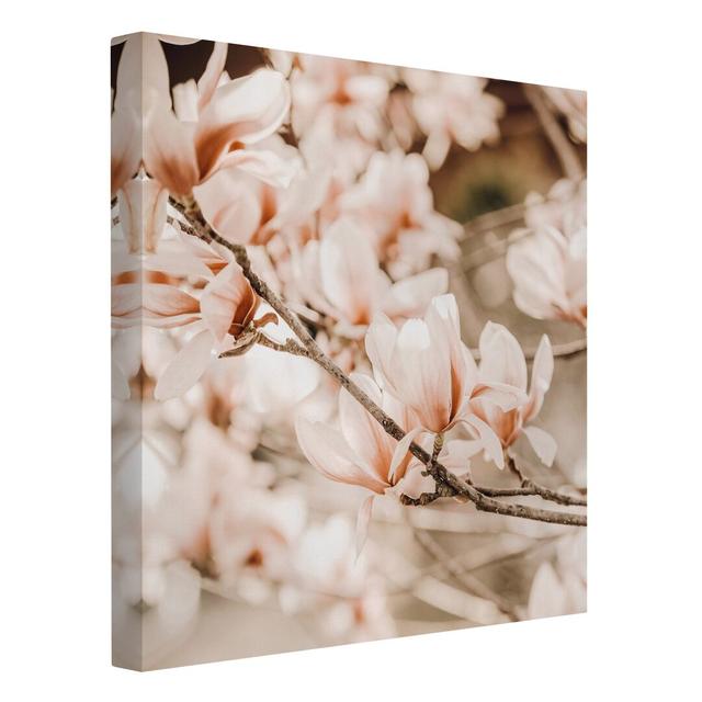 Vintage -Style Magnolia Branches by Monika Strigel - Wrapped Canvas Photograph Ebern Designs Size: 40cm H x 40cm W on Productcaster.