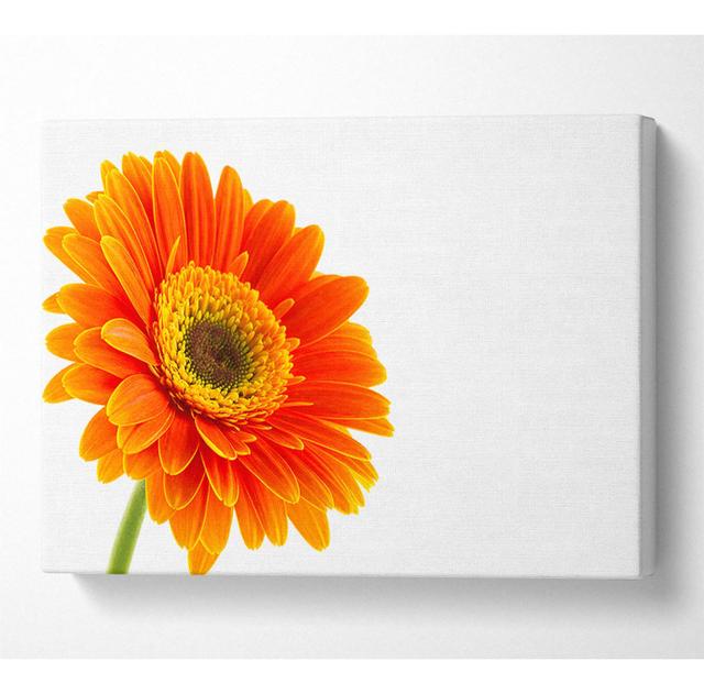 Gorgeous Orange Gerbera - Wrapped Canvas Photograph 17 Stories Size: 35.6cm H x 50.8cm W on Productcaster.