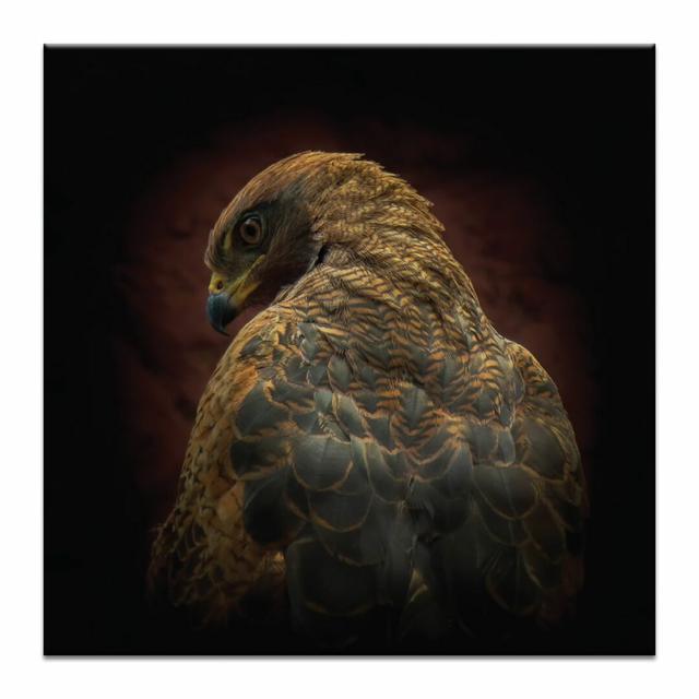 'Are You Watching Me?' Photographic Print on Wrapped Canvas World Menagerie Size: 76cm H x 76cm W on Productcaster.