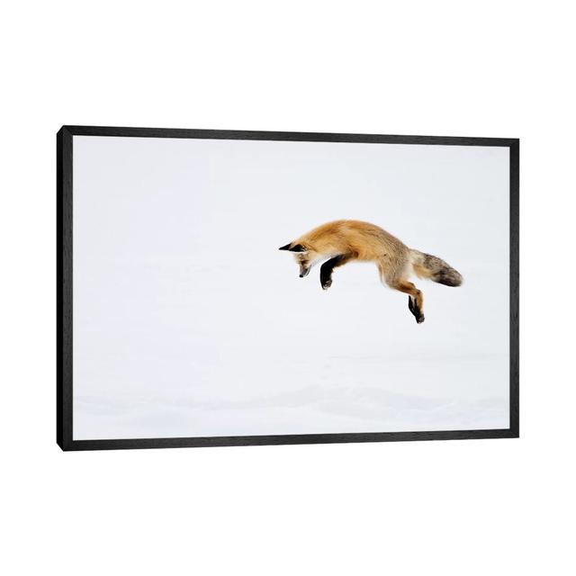 'Red Fox Leaping for His Prey Under the Snow, Yellowstone National Park, Wyoming' by Deborah Winchester - Floater Frame Photograph Print on Canvas Uni on Productcaster.