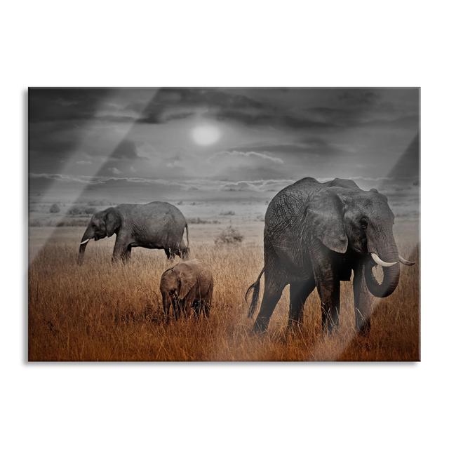 Elephants in the Savannah - Unframed Photograph on Glass 17 Stories Size: 60cm H x 80cm W x 0.4cm D on Productcaster.