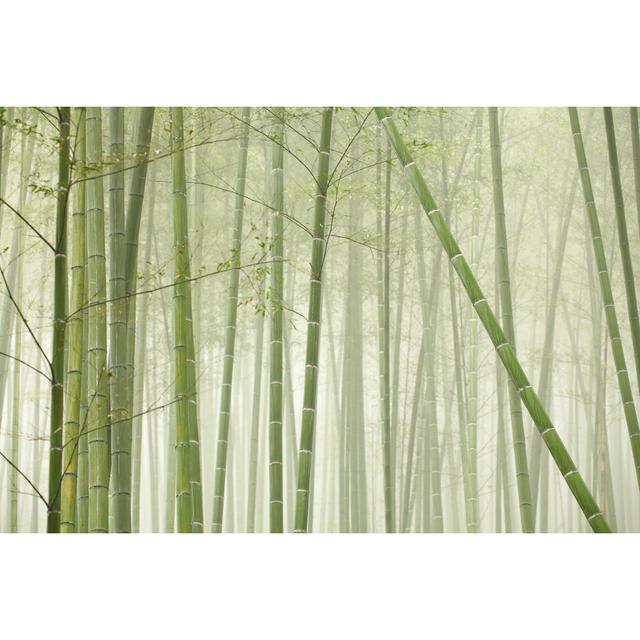 Bamboo Forest by BIHAIBO - No Frame Print on Canvas 17 Stories Size: 81cm H x 122cm W on Productcaster.