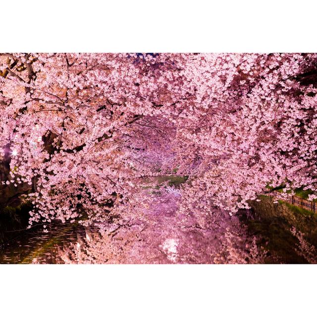 Marhill Sakura Trees by Masafarnorth - Print Latitude Run Size: 61cm H x 91cm W x 3.8cm D on Productcaster.