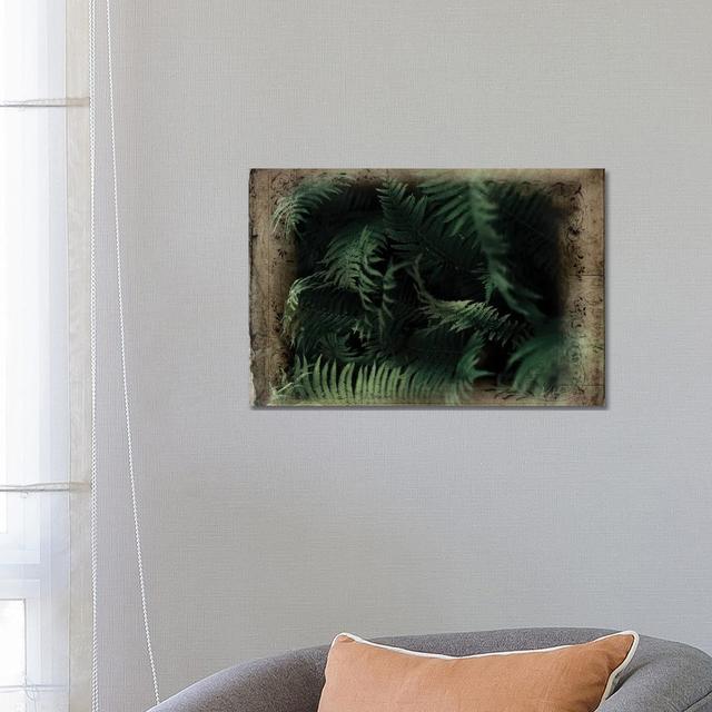 Vintage Ferns by Katrina Jones - Wrapped Canvas Painting Brambly Cottage Size: 45.72cm H x 66.04cm W x 1.91cm D on Productcaster.