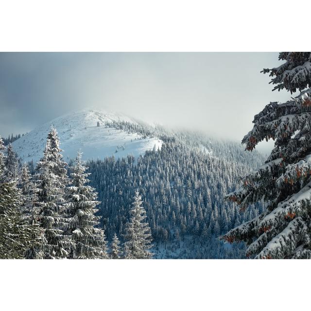 Fir Trees With Snow by IanaChyrva - Wrapped Canvas Print Union Rustic Size: 61cm H x 91cm W x 3.8cm D on Productcaster.