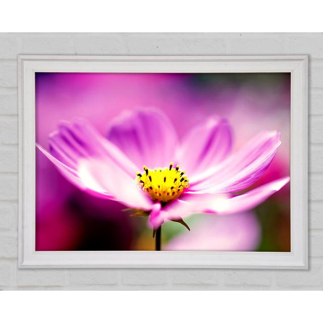 Purple Cosmos Flower - Print Brayden Studio Size: 84.1cm H x 118.9cm W x 1.5cm D, Format: White Framed Paper on Productcaster.