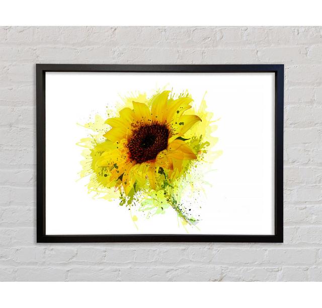 Sunflower Splash 1 Framed Print Bright Star Size: 100cm H x 141.4cm W x 3.3cm D on Productcaster.