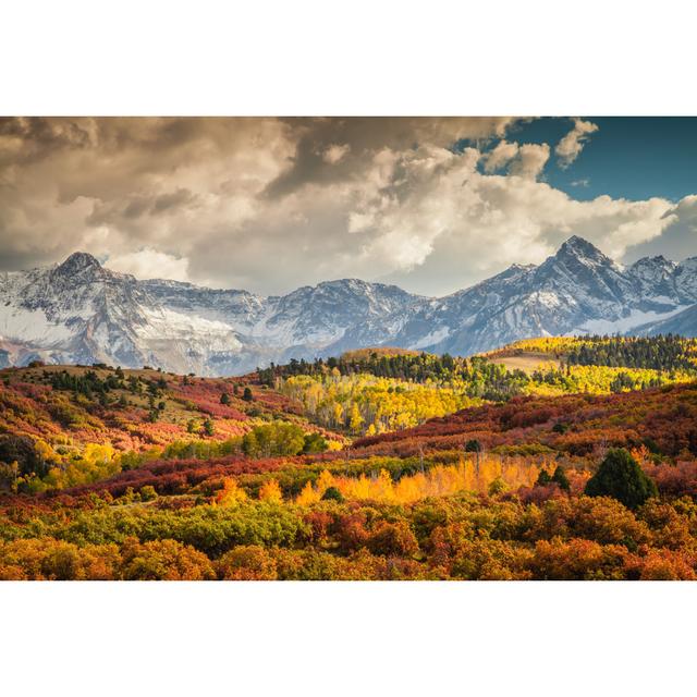 Layers Of Fall by Adam Goldberg Photography - Wrapped Canvas Print Alpen Home Size: 20cm H x 30cm W on Productcaster.