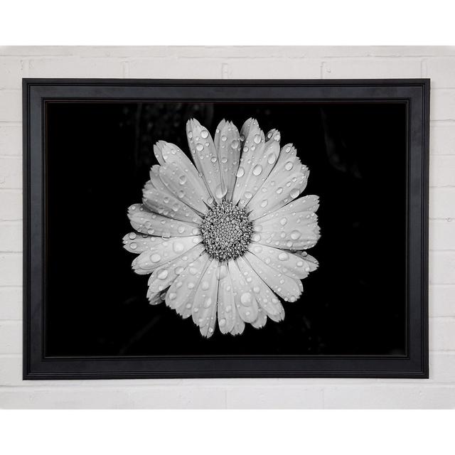 Single Picture Frame Art Prints Latitude Run Size: 29.7cm H x 42cm W on Productcaster.