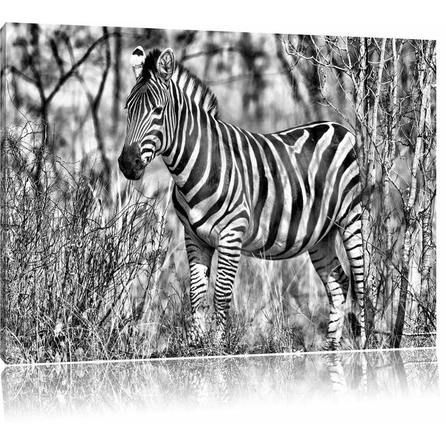 Leinwandbild Einsames Zebra in Monochrom East Urban Home Größe: 60 cm H x 80 cm B on Productcaster.