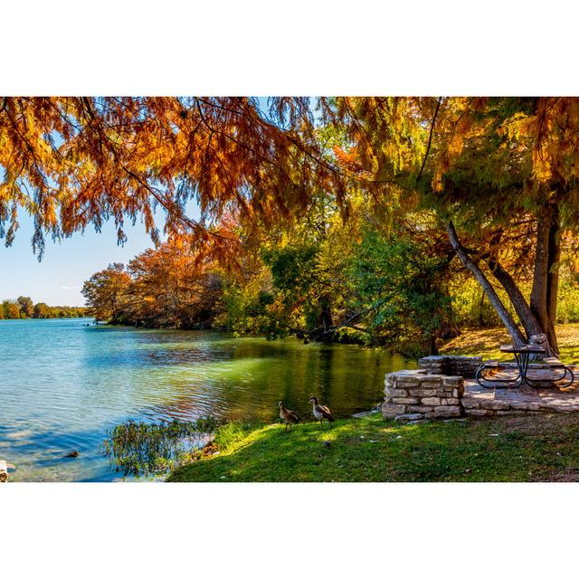 Clarcona Autumn Picnic at River by Richard Mcmillin - Wrapped Canvas Photograph Latitude Run Size: 61cm H x 91cm W x 3.8cm D on Productcaster.