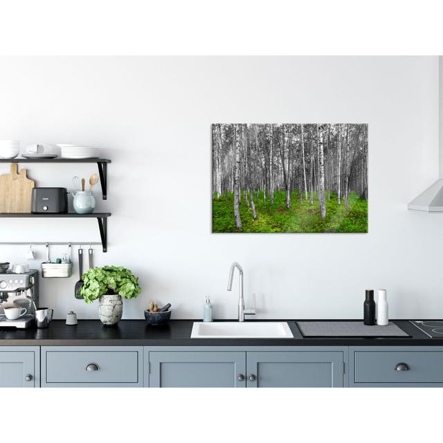 Small Handsome Birch Forest - Unframed Photograph on Glass Union Rustic Size: 60cm H x 80cm W x 0.4cm D on Productcaster.