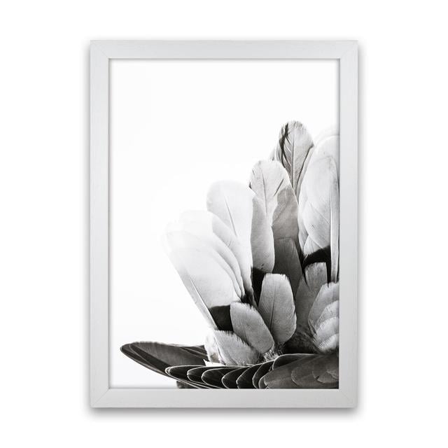 Feathers by Victoria Frost - Single Piece Picture Frame Photograph Print on Paper Bloomsbury Market Size: 88cm H x 64cm W x 3cm D, Format: White Frame on Productcaster.