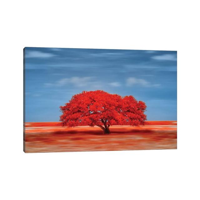 Lady - Wrapped Canvas Photograph Natur Pur Size: 30.48cm H x 45.72cm W x 1.9cm D on Productcaster.