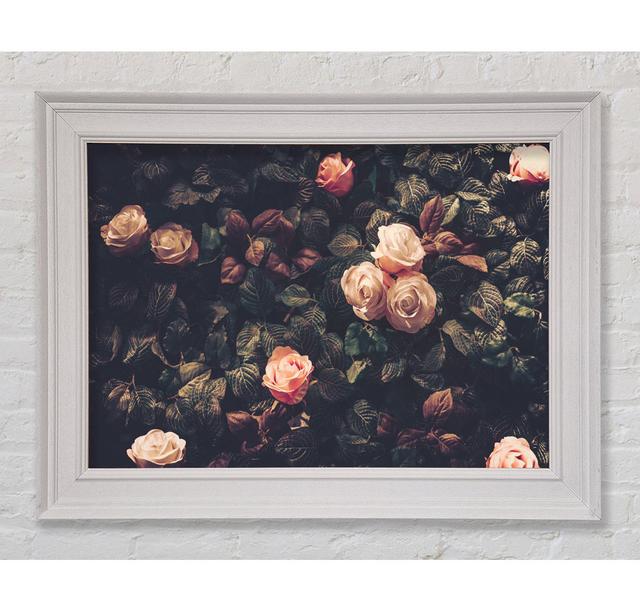 Pale Roses In Soft Greenery - Single Picture Frame Art Prints Rosalind Wheeler Size: 100cm H x 141.4cm W x 8cm on Productcaster.