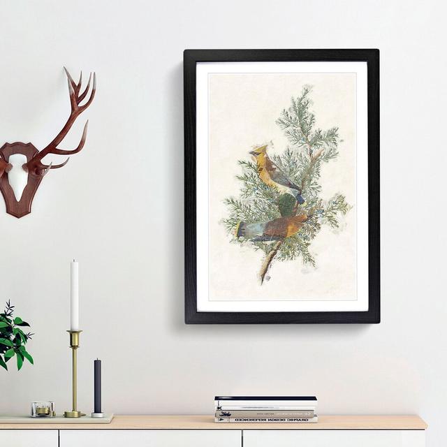 Cedar Birds by John Audubon - Picture Frame Painting Print East Urban Home Size: 65cm H x 48cm W x 2cm D, Frame Option: Black Framed on Productcaster.