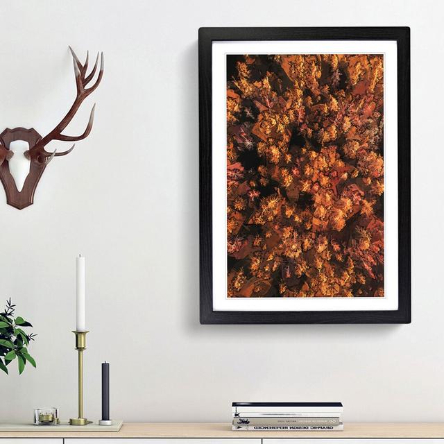 Autumn Forest in Bloom in Abstract - Picture Frame Graphic Art Print East Urban Home Size: 65cm H x 48cm W x 2cm D, Frame Option: Black Framed on Productcaster.