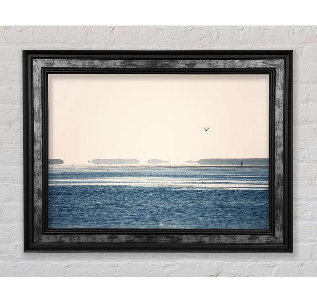 Morning Sea Bird - Single Picture Frame Art Prints Bright Star Size: 84.1cm H x 118.9cm W on Productcaster.