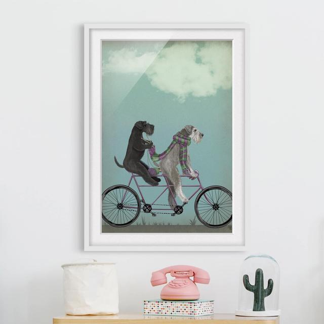 Picture With Frame - Bike Tour - Schnauzer Tandem - Portrait 4:3 Maturi Frame Option: White, Size: 100cm H x 70cm W x 2cm D on Productcaster.