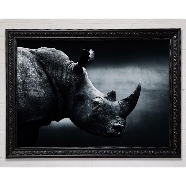 Rhinoceros Beauty - Single Picture Frame Art Prints Union Rustic Size: 42cm H x 59.7cm W on Productcaster.