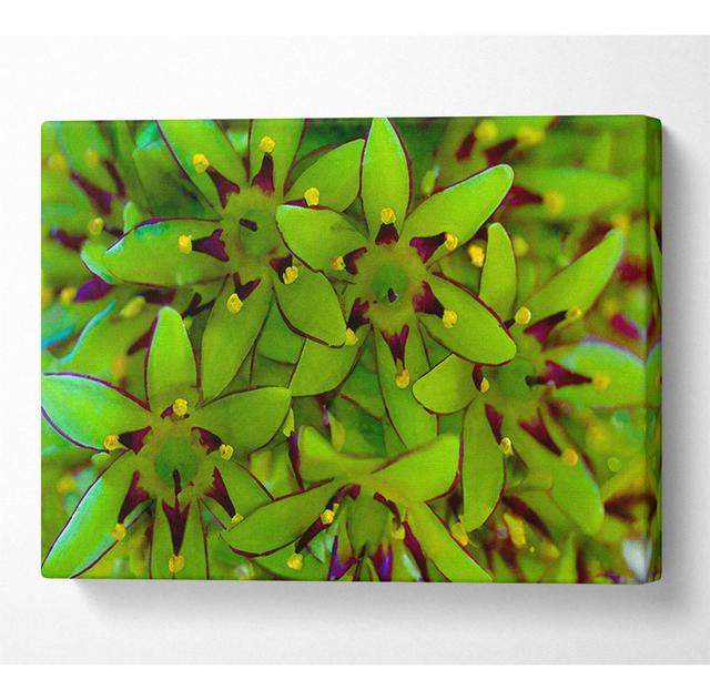 Wrapped Canvas Art Prints ClassicLiving Size: 66cm H x 106.6cm W x 10cm D on Productcaster.