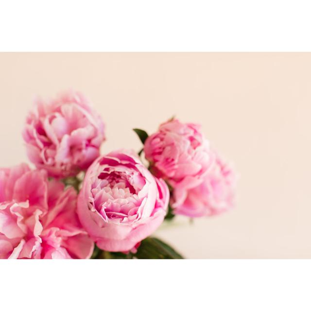 Bright Pink Peony Flower In Full Bloom With A Light Cream-Colored Background by Crystal Bolin Photography - No Frame Print on Canvas 17 Stories Size: on Productcaster.