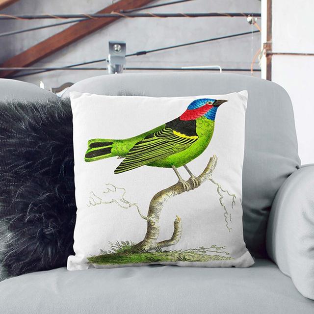 Collared Tanager Bird by George Shaw Cushion with Filling East Urban Home Size: 40 x 40 cm on Productcaster.