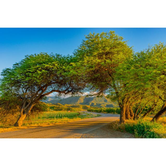 California Vineyard - Wrapped Canvas Print 17 Stories Size: 30cm H x 46cm W x 3.8cm D on Productcaster.