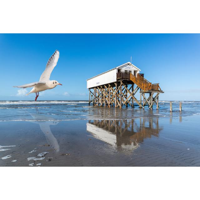 Cloquet Sankt Peter-Ording - Wrapped Canvas Photograph House of Hampton Size: 61cm H x 91cm W x 3.8cm D on Productcaster.