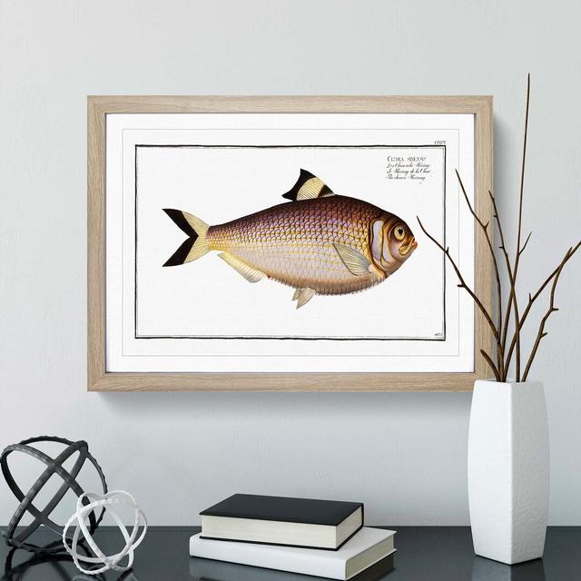 Chinese Herring Fish by M.E. Bloch - Picture Frame Painting Print East Urban Home Size: 27cm H x 36cm W x 2cm D, Frame Option: Oak Framed on Productcaster.