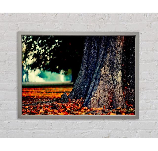 Tree Trunk In Autumn - Single Picture Frame Art Prints on Canvas Ebern Designs Size: 84.1cm H x 118.9cm W x 3.3cm D on Productcaster.