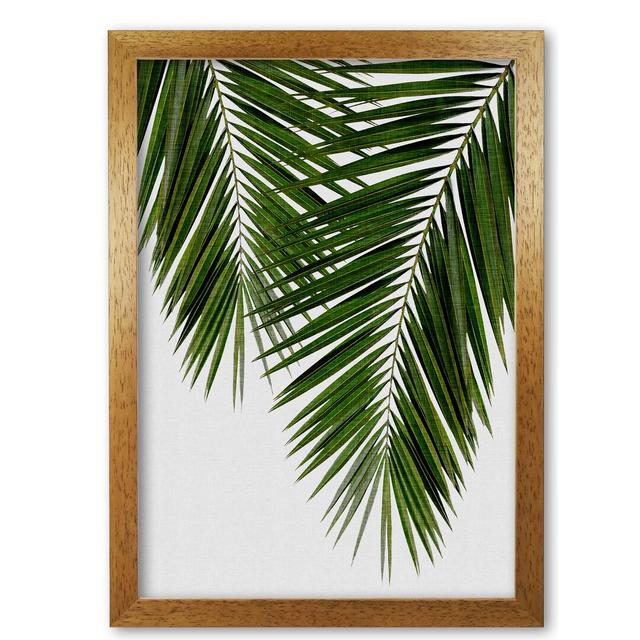 Palm Leaf II - Graphic Art Print on Paper East Urban Home Size: 60 cm H x 42 cm W x 5 cm D, Format: Honey Oak Frame on Productcaster.