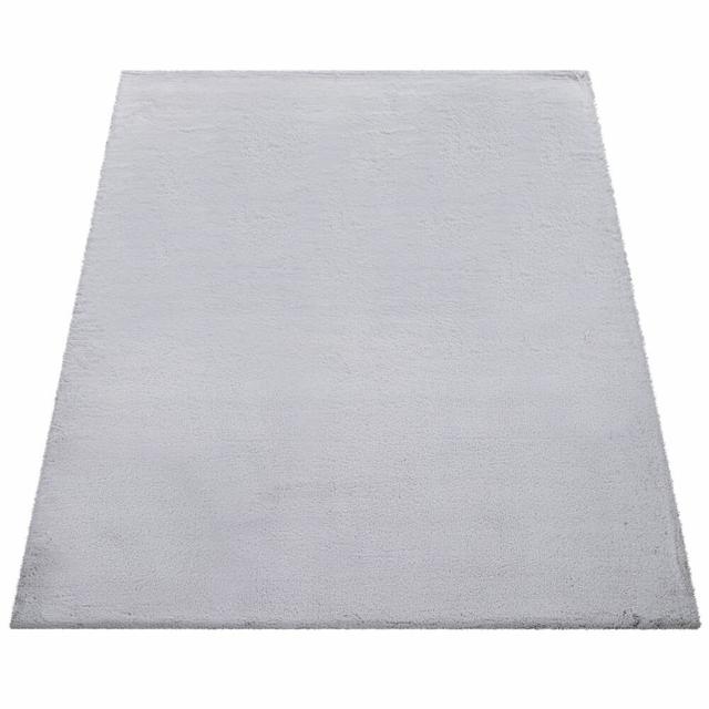 Britton Shaggy Grey Rug Etta Avenue Rug Size: Rectangle 160 x 230cm on Productcaster.