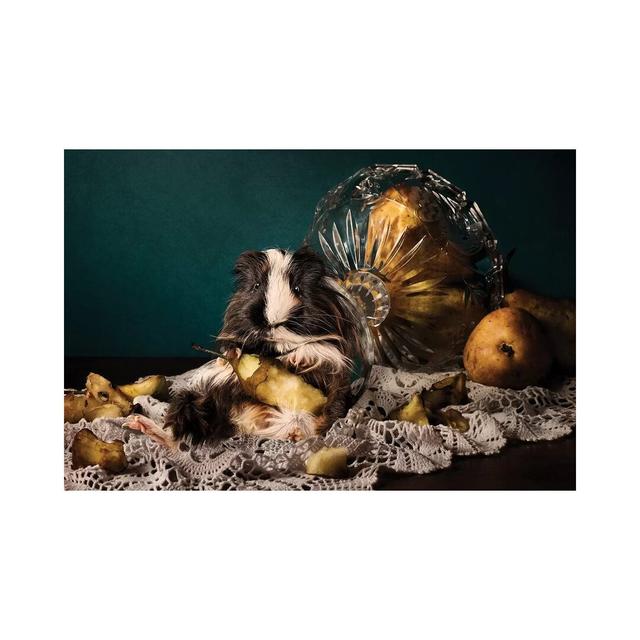 Still Life Gone Wrong - The Guinea Pig by Oddball Tails - Wrapped Canvas Photograph Latitude Run Size: 45.72cm H x 66.04cm W x 1.91cm D on Productcaster.