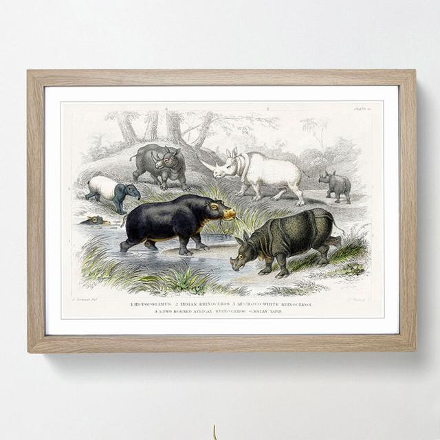 Hippopotamus and Rhinoceros by Oliver Goldsmith - Picture Frame Painting Print East Urban Home Size: 27cm H x 36cm W x 2cm D, Frame Option: Oak Framed on Productcaster.