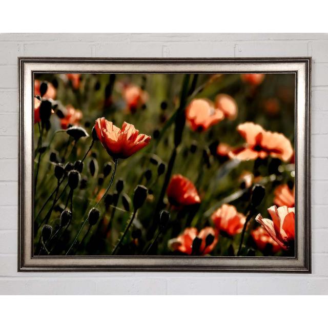 Light Of A New Day - Single Picture Frame Art Prints Brayden Studio Size: 84.1cm H x 118.9cm W x 1.5cm D on Productcaster.