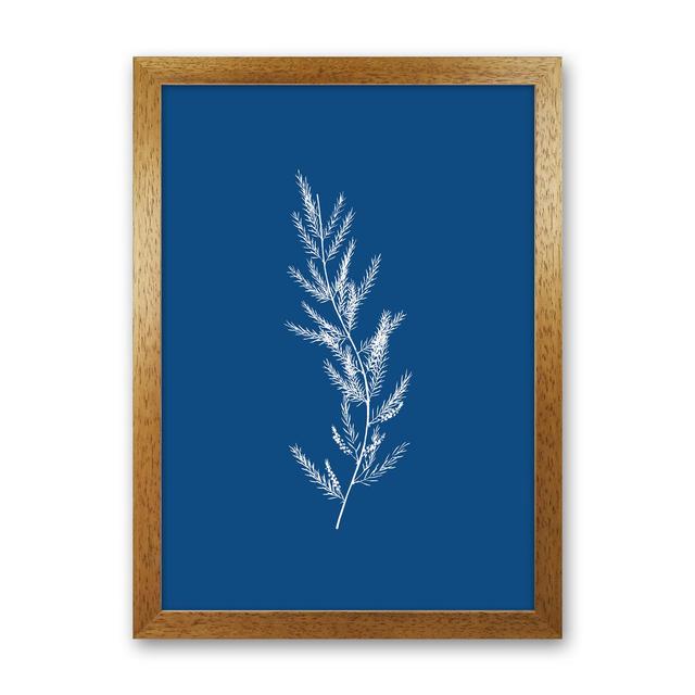 Blue Botanical II - No Frame Print 17 Stories Size: 63cm H x 46cm W x 3cm D, Frame Option: Brown Framed on Productcaster.