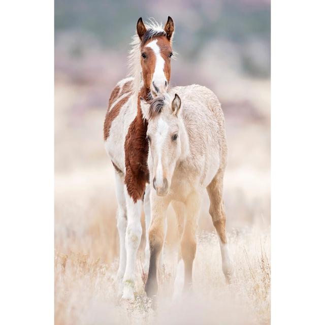 Collection Of Horses X - Print Union Rustic Size: 76cm H x 51cm W on Productcaster.